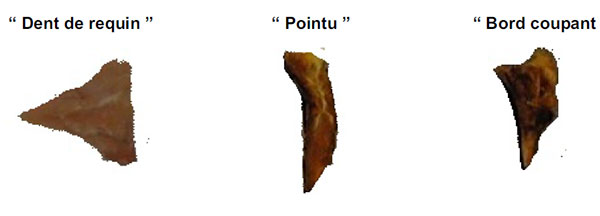 Trois différentes formes de fragments ou morceaux de noyaux : le premier en forme de dent de requin, le deuxième est pointu et le troisième a le bord coupant
