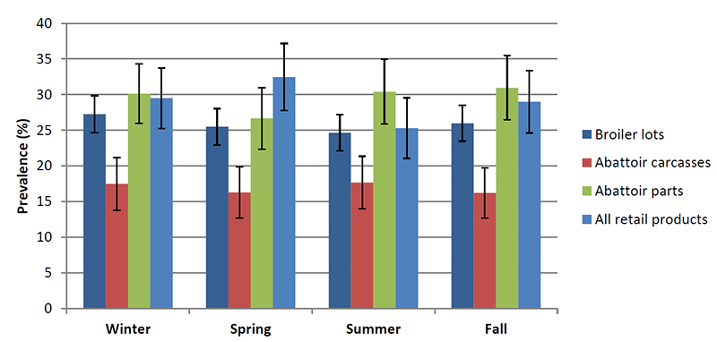 broiler chicken samples by season