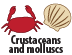 Seafood icon