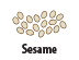 Sesame icon