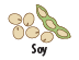 Soy icon