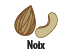 Noix icône