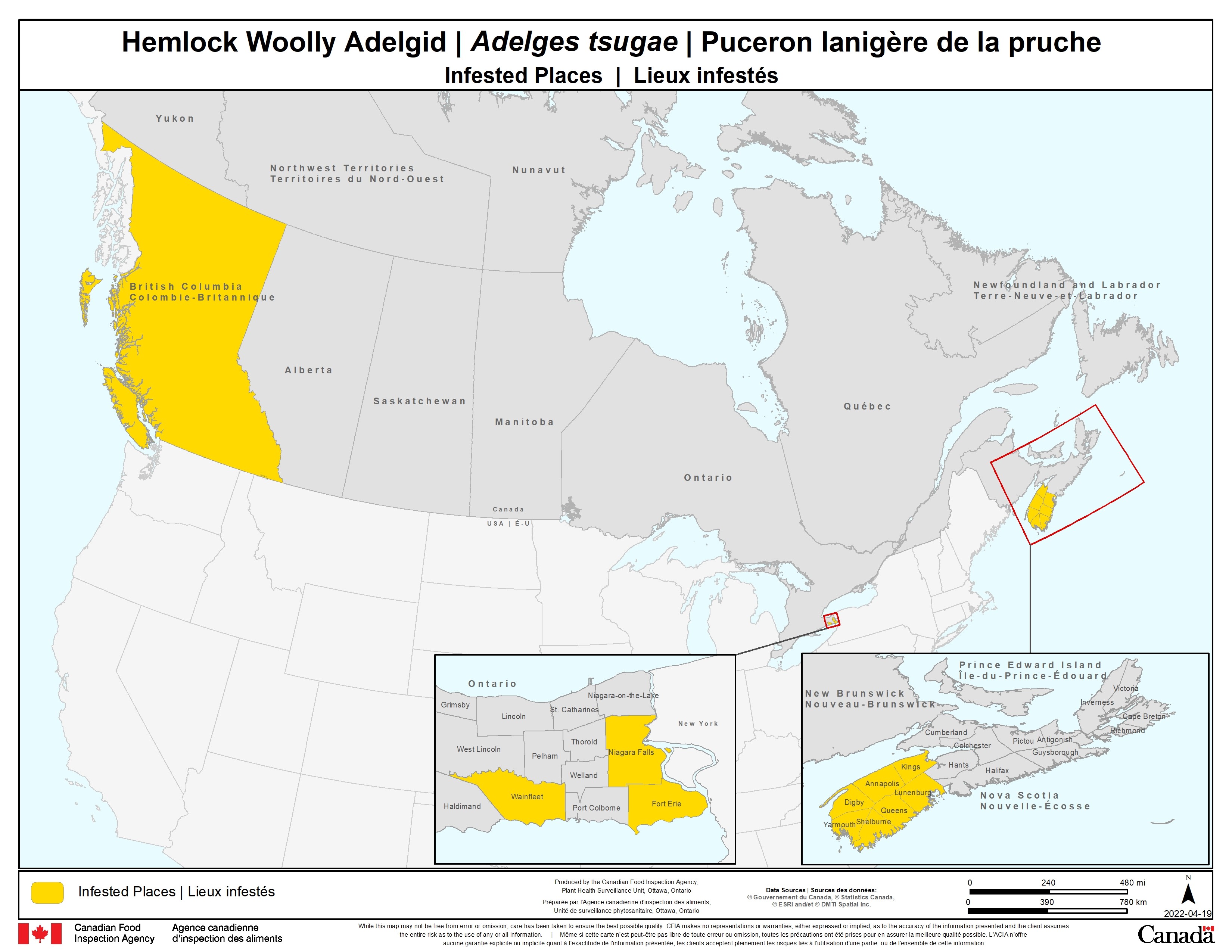 Infested places with the Hemlock Woolly Adelgid. Description follows.