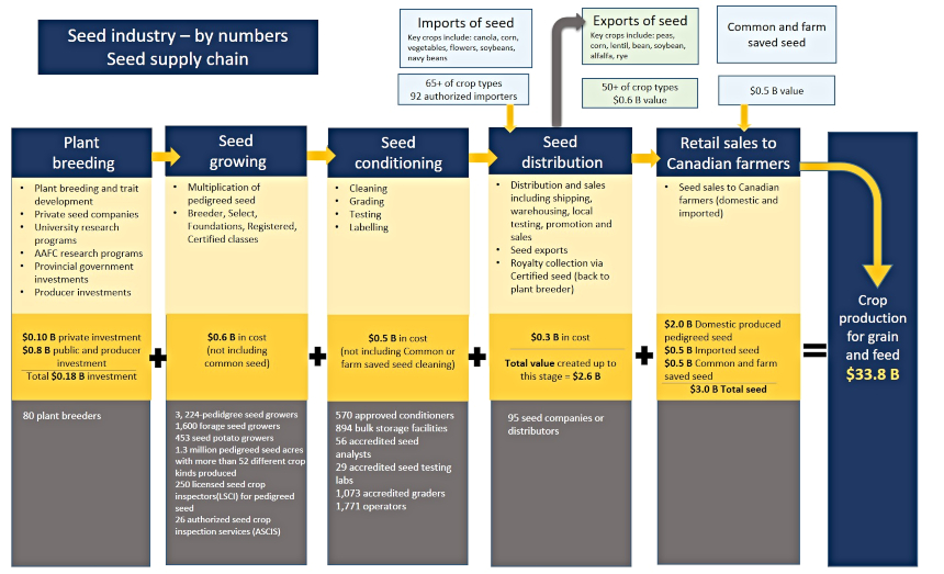 Figure 2 - Seed industry by numbers - Seed supply chain. Description follows.