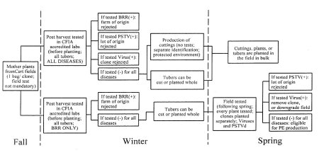 Flowchart: Production of Pre-Elite seed potatoes from other sources than Nuclear Stock (nuclear stock equivalent). Description follows.