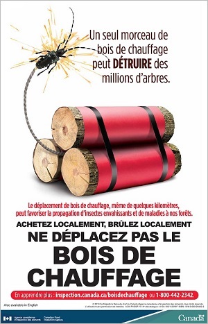 Affiche : Ne déplacez pas le bois de chauffage