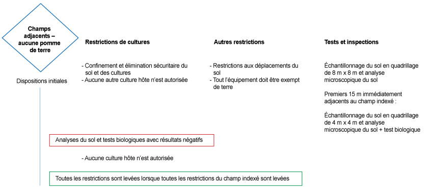 Photo - Figure 4 : Schéma des mesures de gestion actuelles des champs adjacents non utilisés pour la culture de pommes de terre selon le « Plan canadien de lutte à long terme contre la galle ». Description ci-dessous.