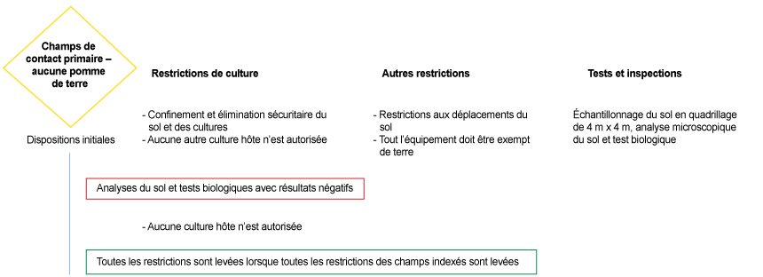 Photo - Figure 6 : Schéma des mesures de gestion actuelles pour les champs de contact primaire non utilisés pour la culture de pommes de terre selon le « Plan canadien de lutte à long terme contre la galle ». Description ci-dessous.