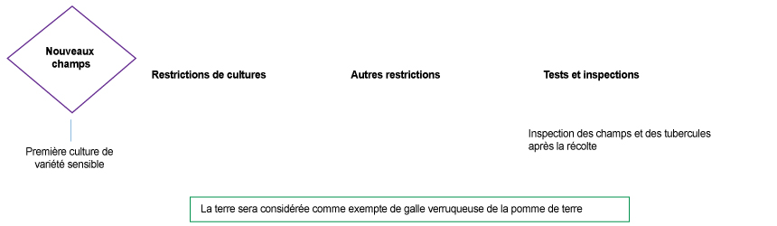 Photo - Figure 8 : Schéma des mesures de gestion actuelles pour les nouveaux champs ou les parties de champs qui entrent en production de pommes de terre selon le « Plan canadien de lutte à long terme contre la galle ». Description ci-dessous.