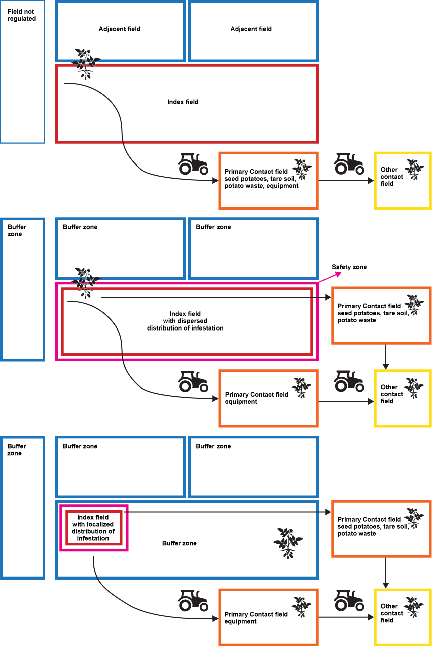 Picture - Schematic illustration of the current situation on PEI. Description follows.