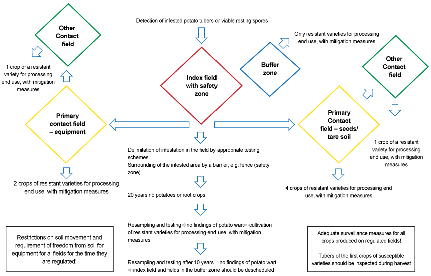 Picture - Figure 10: Schematic illustration of the regulations for Index, Adjacent, Primary Contact and Other Contact fields, as recommended by the IAP Description follows.