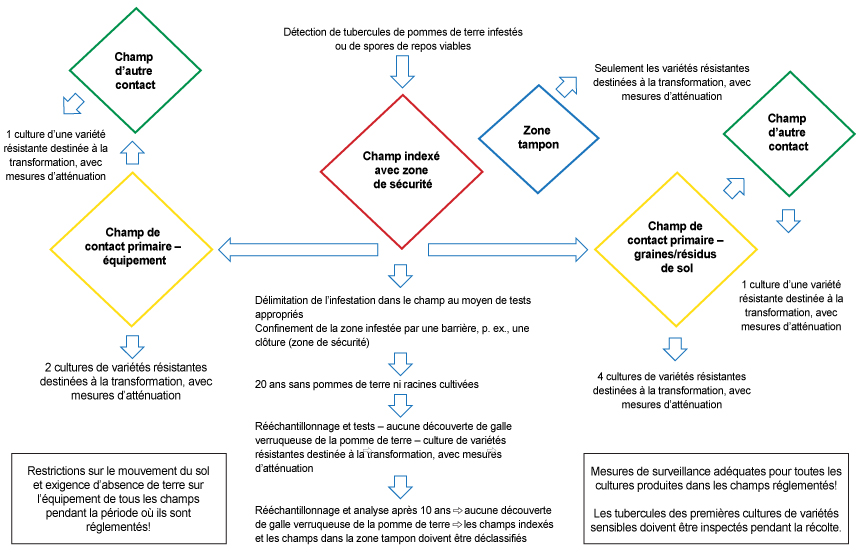 Photo - Figure 10 : Schéma des règlements visant les champs indexés, adjacents, de contact primaire et d'autre contact, selon les recommandations du Comité consultatif international. Description ci-dessous.