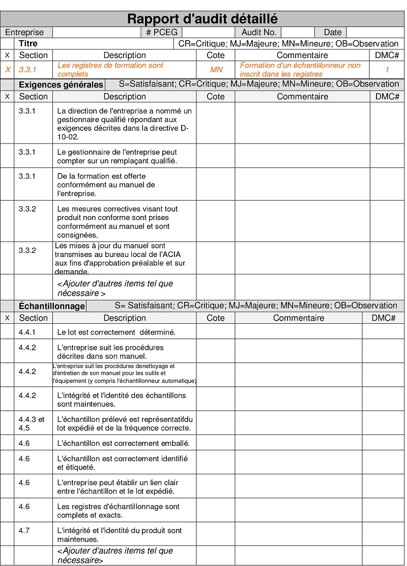 Formulaire - Le Rapport d'audit détaillé PCEG (partie 1). Description ci-dessous.