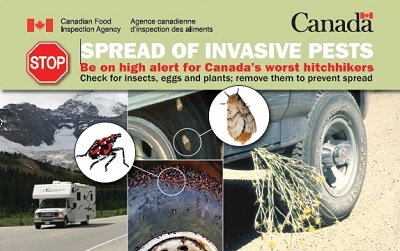 Thumbnail image for plant pest credit card: Hitchhikers. Description follows.