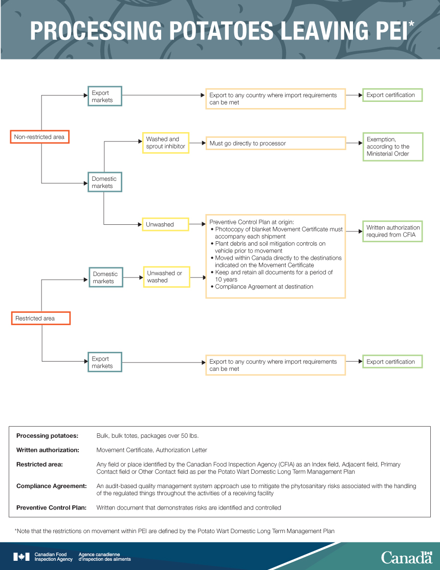 Infographic: Processing potatoes