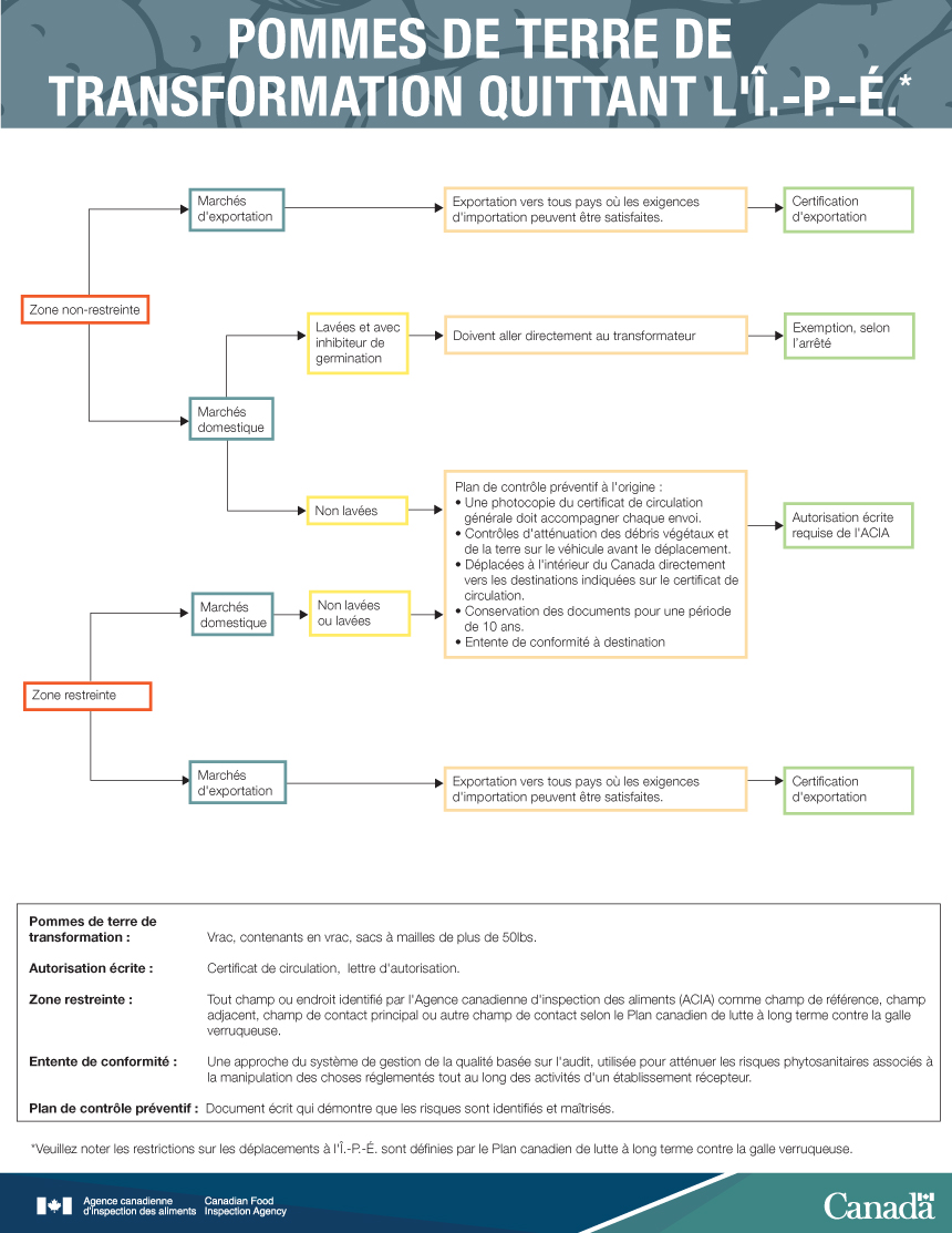 Infographies : Pommes de terre de transformation