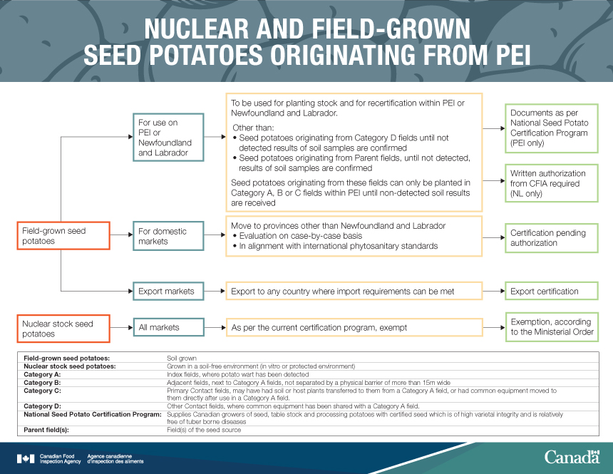 Infographic: Seed potatoes