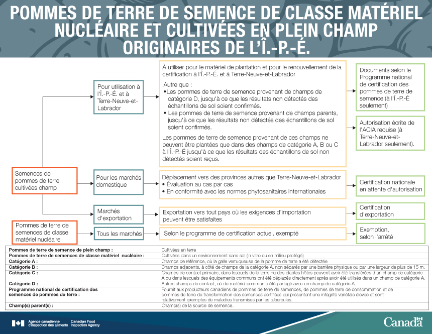Infographies : Pommes de terre de semence