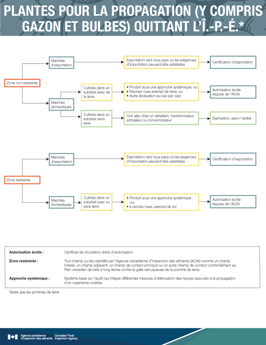 Infographies : Plantes pour la propagation