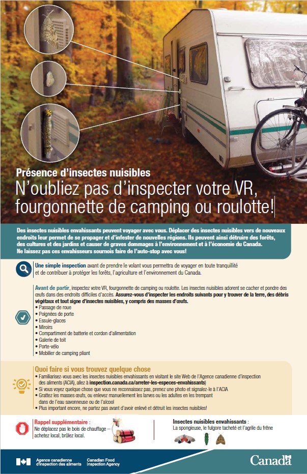 Conseils pour inspecter votre VR, fourgonnette de camping ou roulotte afin de détecter la présence de ravageurs envahissants