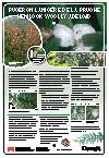 vignette PDF pour l'affiche de la pruche puceron lanigère