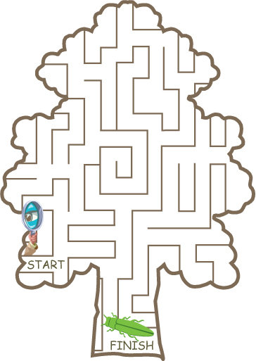 find the beetle maze