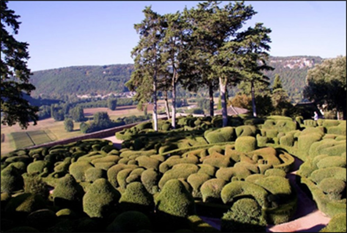 Figure 1. Topiaire de buis (en avant-plan)