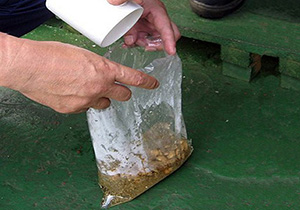 sac de plastique, description ci-dessus