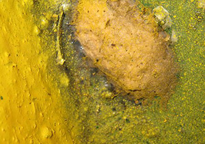 surface d'une masse d'œufs, description ci-dessus