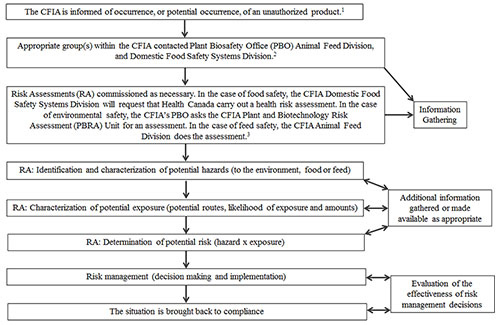 Flowchart - General risk assessment/risk management framework
