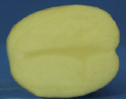 Tubercule tranché
