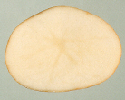 Sliced tuber
