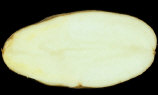 Sliced tuber