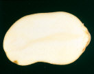 Sliced Tuber