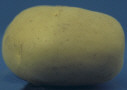 Tuber