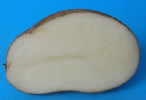 Sliced tuber