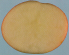 Sliced tuber