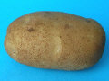Tuber