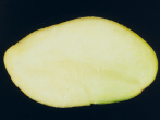 Sliced tuber
