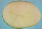 Sliced tuber