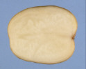 Sliced Tuber