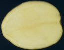 Sliced tuber