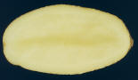 Sliced tuber