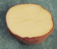 Sliced tuber