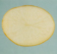 Sliced tuber