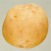Tuber