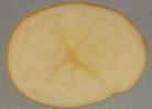 Sliced tuber