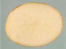 Sliced tuber