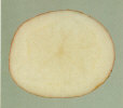 Sliced tuber