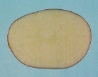 Tubercule tranché
